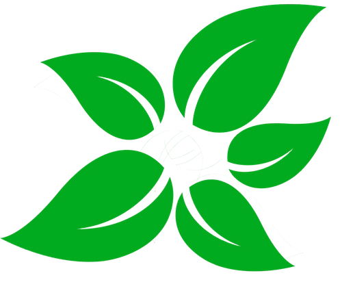 leaf icon