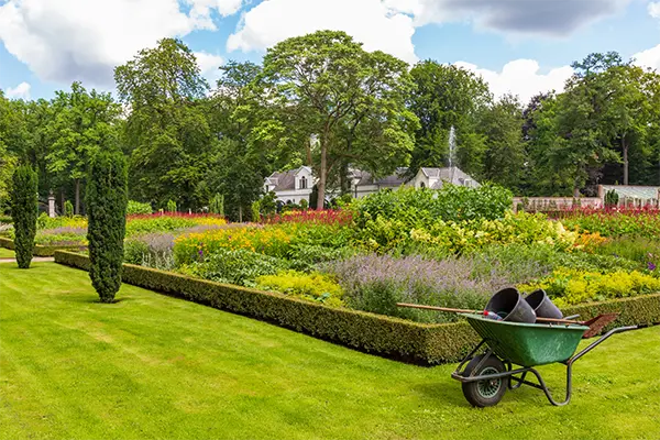 Landscape Maintenance
