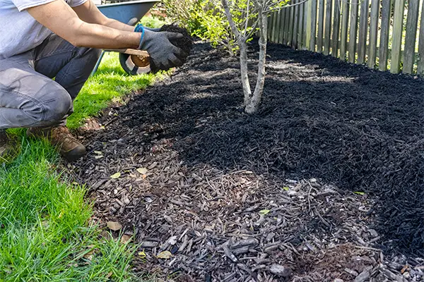 Mulching